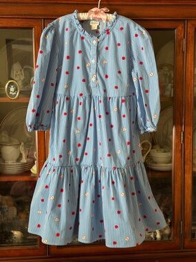 J. Crew Crewcuts Blue Striped Dress with Red & Cream apples girls size 10